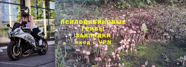 бошки Куйбышев