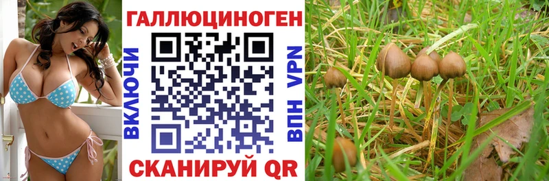 Псилоцибиновые грибы Psilocybine cubensis  blacksprut ONION  Нижняя Тура 